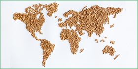 Secteur agro-alimentaire : quelles sont les perspectives dans une économie mondiale marquée par des tensions protectionnistes ?