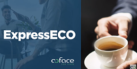 expresseco by coface, our economic previsions for 2021