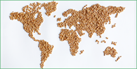 Globale vooruitzichten voor de agrovoedingssector in een protectionistische omgeving