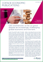 Focus CEE insolvencies