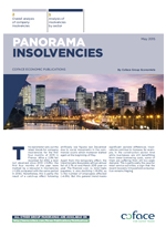 Insolvencies_panorama_mini